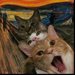 Meet your Posher, Raul